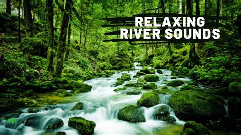 stream sounds for sleeping|calming stream sounds.